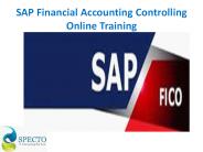 Sap Financial Accounting Controlling online training course in USA