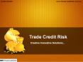 Trade Credit Risk (1) PowerPoint PPT Presentation