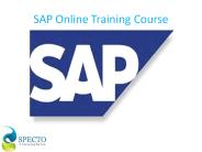 SAP Online Training Course in USA