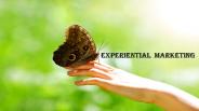 Experiential marketing