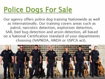 train police dogs