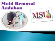 Mold Removal Audubon