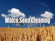 Natural Seed Cleaning in Gladstone