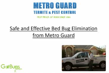 Safe and Effective Bed Bug Elimination from Metro Guard