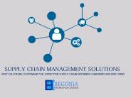 Supply Chain Management Solutions (1)