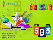 Pnp Universe:-Web Design And Development indore