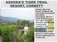 Book Ashoka Tiger Trail Resort Corbett online PowerPoint PPT Presentation