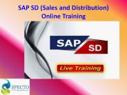 SAP SALES AND DISTRIBUTION ONLINE TRAINING COURSE IN AUSTRALIA