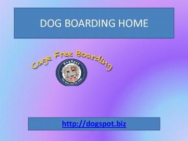 Dog Boarding Encinitas