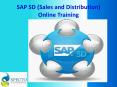 SAP SALES AND DISTRIBUTION ONLINE TRAINING COURSE IN FRANCE PowerPoint PPT Presentation