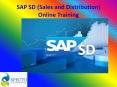 SAP SALES AND DISTRIBUTION ONLINE TRAINING COURSE IN JAPAN PowerPoint PPT Presentation