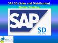 SAP SALES AND DISTRIBUTION ONLINE TRAINING COURSE IN CHENNAI PowerPoint PPT Presentation
