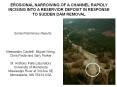 EROSIONAL NARROWING OF A CHANNEL RAPIDLY INCISING INTO A RESERVIOR DEPOSIT IN RESPONSE TO SUDDEN DAM REMOVAL PowerPoint PPT Presentation