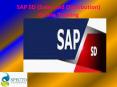 SAP SALES AND DISTRIBUTION ONLINE TRAIING COURSE IN MALAYSIA PowerPoint PPT Presentation