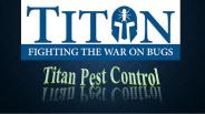 Professional Bee Extermination