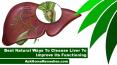 Best Natural Ways To Cleanse Liver To Improve Its Functioning PowerPoint PPT Presentation