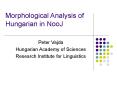 Morphological Analysis of Hungarian in NooJ PowerPoint PPT Presentation