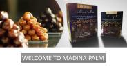 Find The Best Dates Toronto.