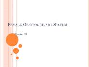 Female Genitourinary System