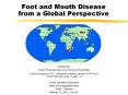 Foot and Mouth Disease from a Global Perspective PowerPoint PPT Presentation