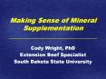 Making $ense of Mineral Supplementation PowerPoint PPT Presentation