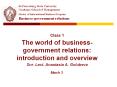Class 1 The world of business-government relations: introduction and overview Snr. Lect. Anastasia A. Golubeva PowerPoint PPT Presentation