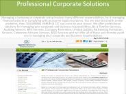 Chartered Accountant in India