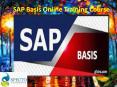 SAP BASIS ONLINE TRAINING IN FRANCE PowerPoint PPT Presentation