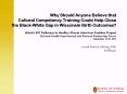 Why Should Anyone Believe that Cultural Competency Training Could Help Close the Black-White Gap in Wisconsin Birth Outcomes? Beloit LIHF Pathways to Healthy African American Families Project Wisconsin Health Improvement and Research Partnerships PowerPoint PPT Presentation