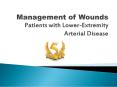 Management of Wounds Patients with Lower-Extremity Arterial Disease PowerPoint PPT Presentation