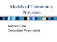 Models of Community Provision PowerPoint PPT Presentation