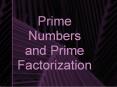 Prime Numbers and Prime Factorization PowerPoint PPT Presentation