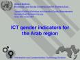 ICT gender indicators for the Arab region PowerPoint PPT Presentation