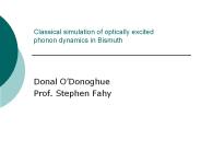 Classical simulation of optically excited phonon dynamics in Bismuth