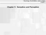 Chapter 5: Sensation and Perception