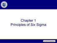 Chapter%201%20Principles%20of%20Six%20Sigma