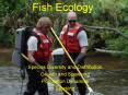Fish%20Ecology PowerPoint PPT Presentation