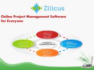 Online Project Management Software  for Everyone-Zilicus