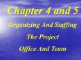 In Search Of Excellence In  Project Management PowerPoint PPT Presentation
