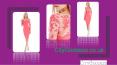 Latest Fashions Designed for Retailers PowerPoint PPT Presentation