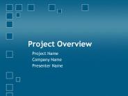 Project Overview