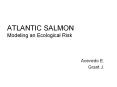 ATLANTIC SALMON Modeling an Ecological Risk PowerPoint PPT Presentation