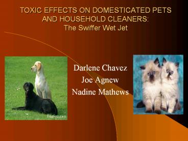 TOXIC EFFECTS ON DOMESTICATED PETS AND HOUSEHOLD CLEANERS: The Swiffer Wet Jet