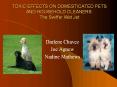 TOXIC EFFECTS ON DOMESTICATED PETS AND HOUSEHOLD CLEANERS: The Swiffer Wet Jet PowerPoint PPT Presentation