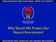 Why Should We Protect Our Natural Environment?