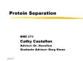Protein%20Separation PowerPoint PPT Presentation