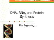 DNA, RNA, and Protein Synthesis