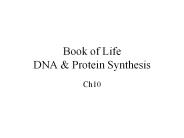 Book of Life DNA