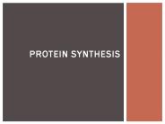 Protein%20Synthesis