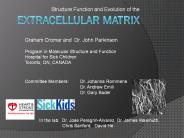 Extracellular%20matrix